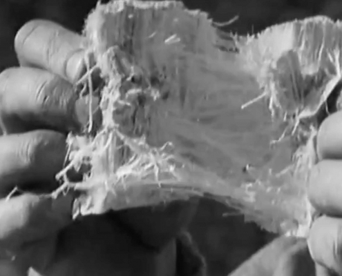 Evil Dust - Dangers of Asbestos - Bundaberg Asbestos Removal