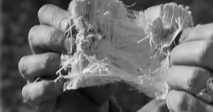 Evil Dust - Dangers of Asbestos - Bundaberg Asbestos Removal